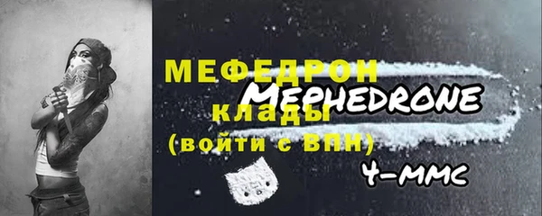 шишки Бородино