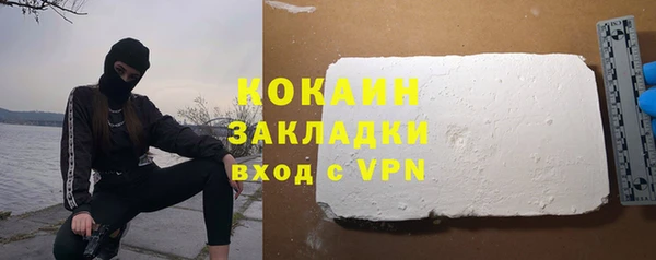 шишки Бородино