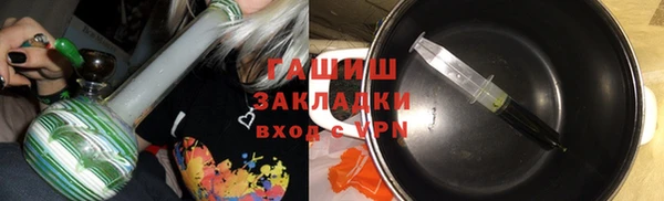 шишки Бородино