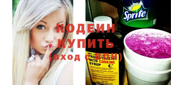 шишки Бородино