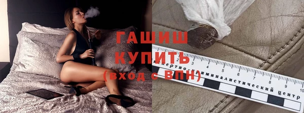 шишки Бородино