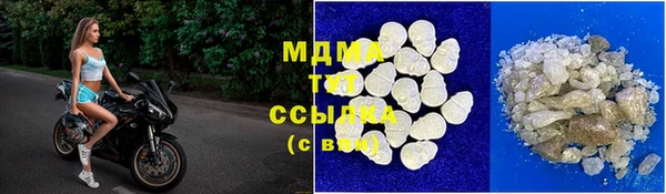 шишки Бородино